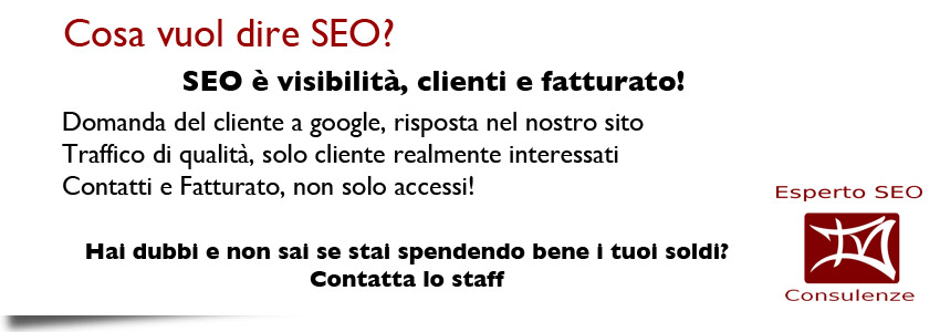 cosa vuol dire seo