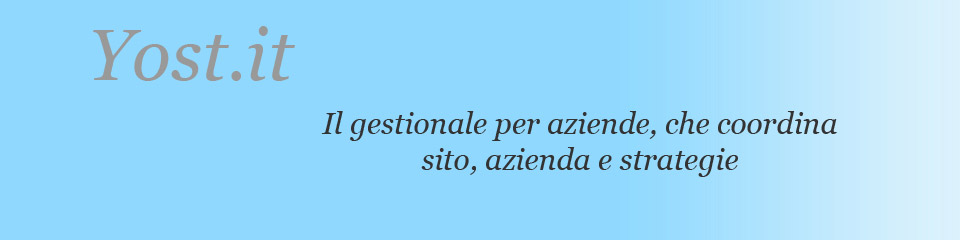 gestionale per aziende